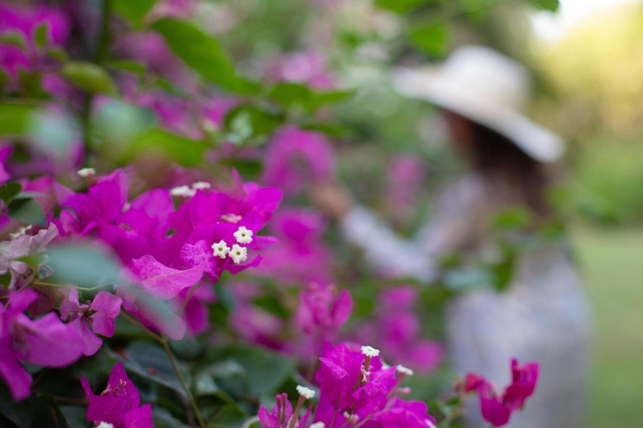 Hamptons Charm By Stayvista Luxury 5Br With Pool, Lawn & Table Tennis อลีบาก ภายนอก รูปภาพ